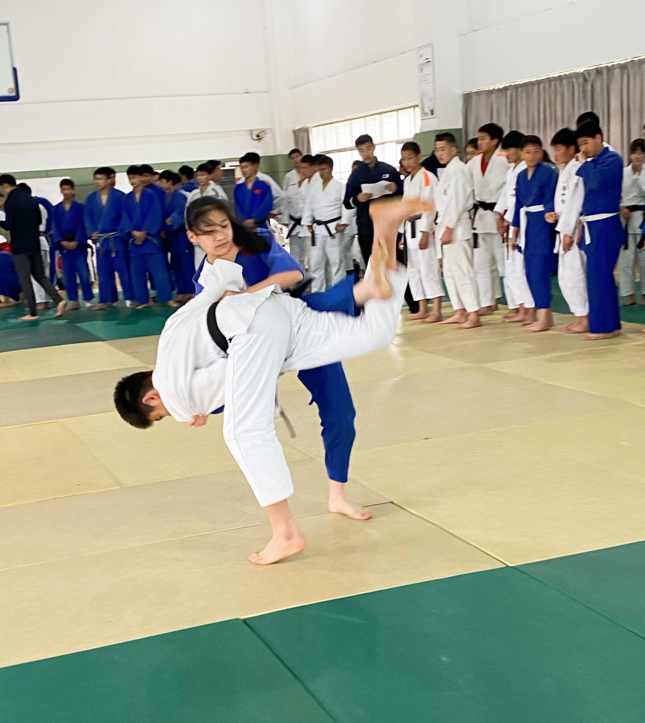 1619487924268025.png 1619487924268025.png