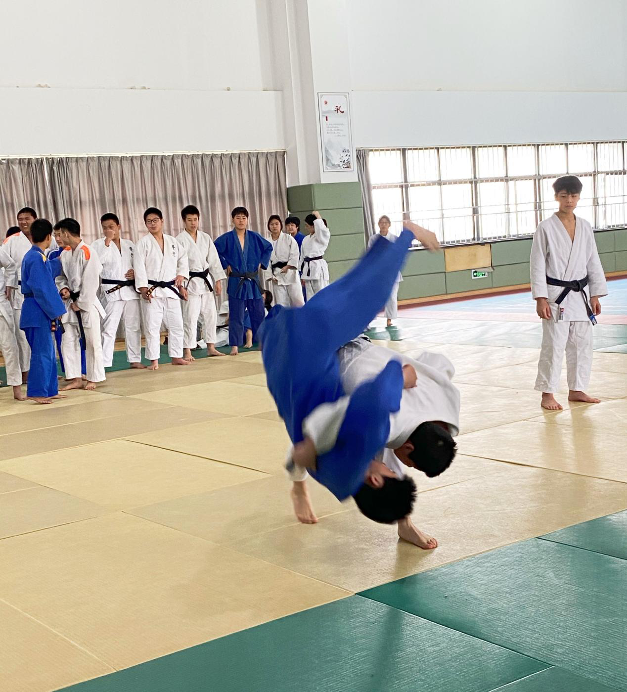 1619487924925999.png 1619487924925999.png